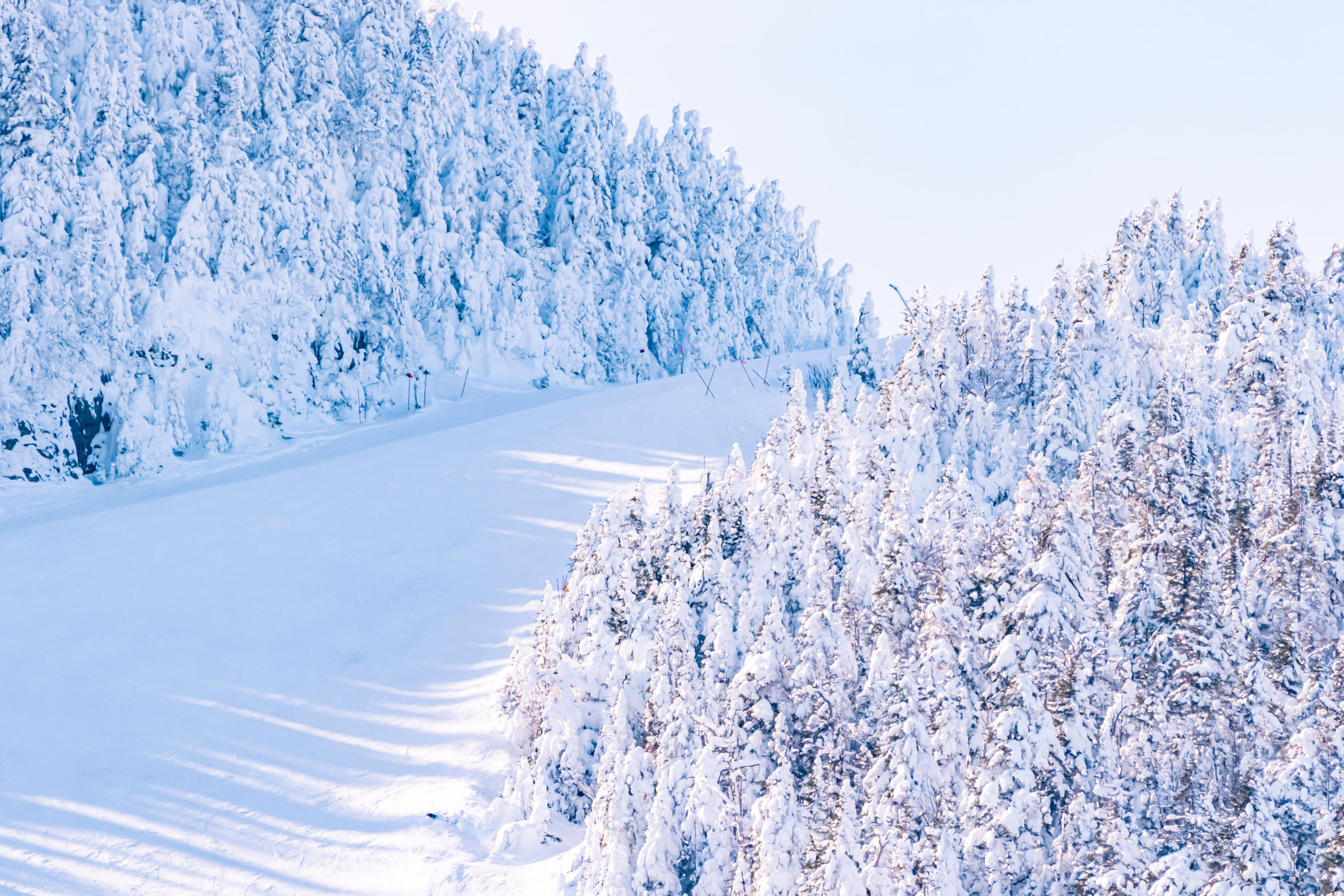 Un sentier enneigé du Mont Orford en hiver.