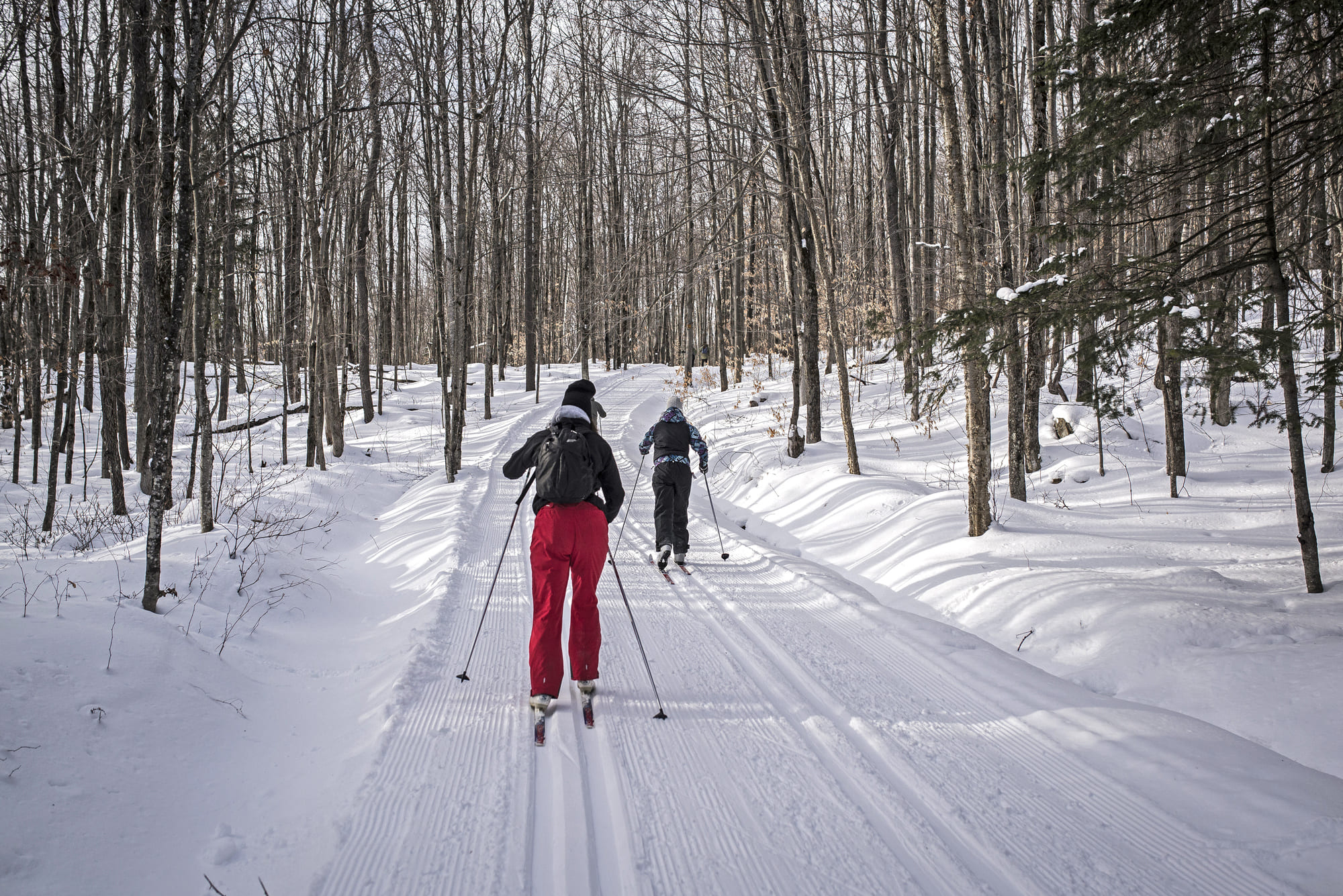 Ski de fond en foret sur un sentier enneigé pres du lac Massawippi, activité hivernale en pleine nature dans les cantons-de-l'est.