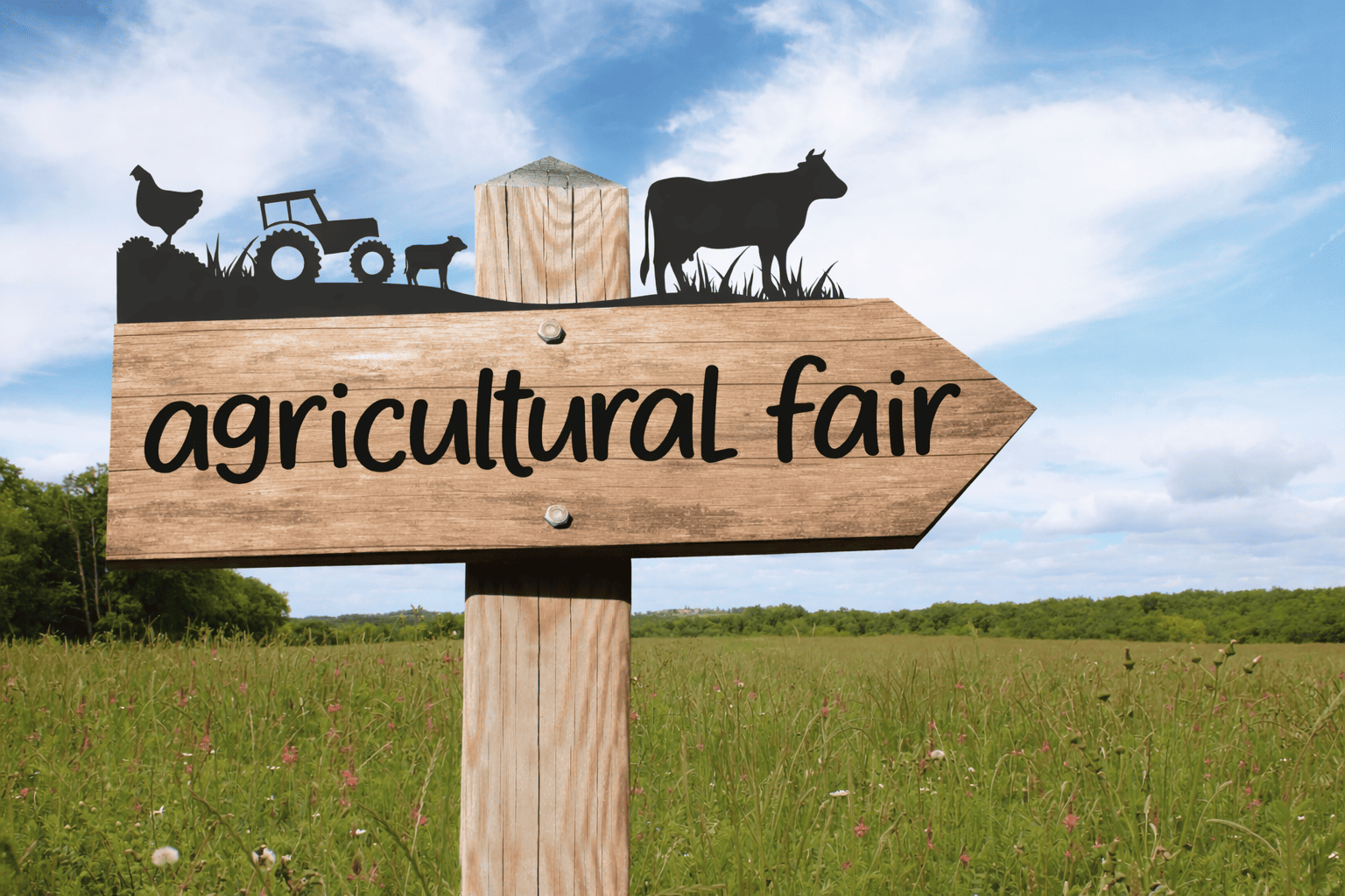 Sign representing the Ayer's Cliff Agricultural Exhibition