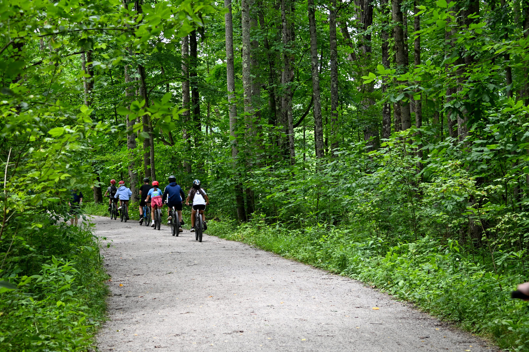 Groupe de cyclistes parcourant une piste cyclable en forêt, entourée d’une végétation verdoyante, dans les Cantons-de-l’Est au Québec.