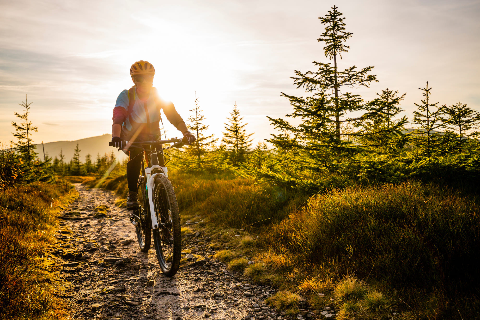 Cycliste en vélo de montagne sur un sentier rocailleux, au coucher du soleil, dans un paysage boisé des Cantons-de-l’Est au Québec.