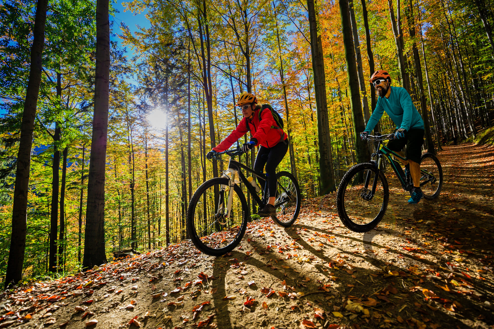 Deux cyclistes en vélo de montagne parcourent un sentier forestier entouré d’arbres aux couleurs d’automne dans les Cantons-de-l’Est, au Québec.